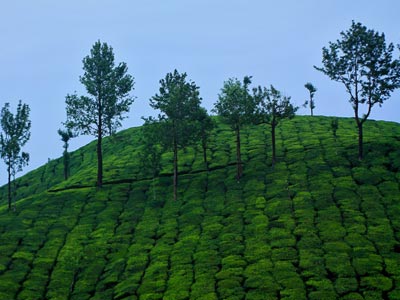 Mysore OOty Tour Packages